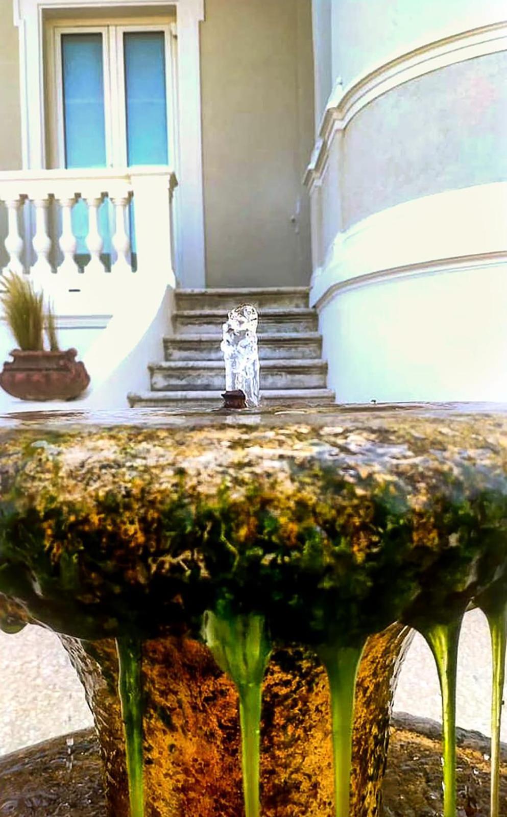 Villa La Torretta Luxury B&B - Adults Only - Rimini Esterno foto
